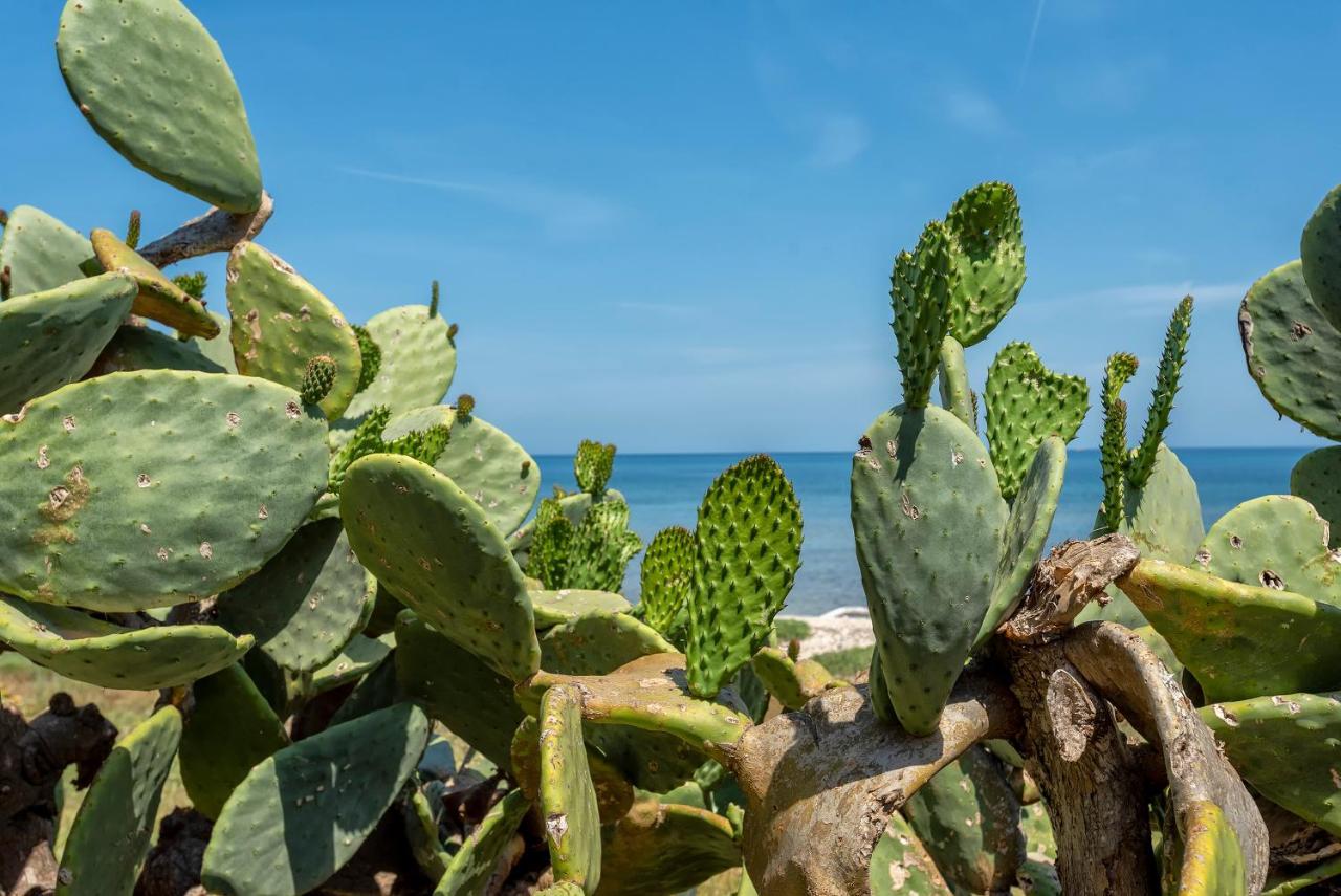 Sardinia Re - Villino Maja Villa Stintino Eksteriør billede