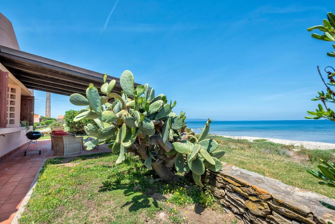 Sardinia Re - Villino Maja Villa Stintino Eksteriør billede